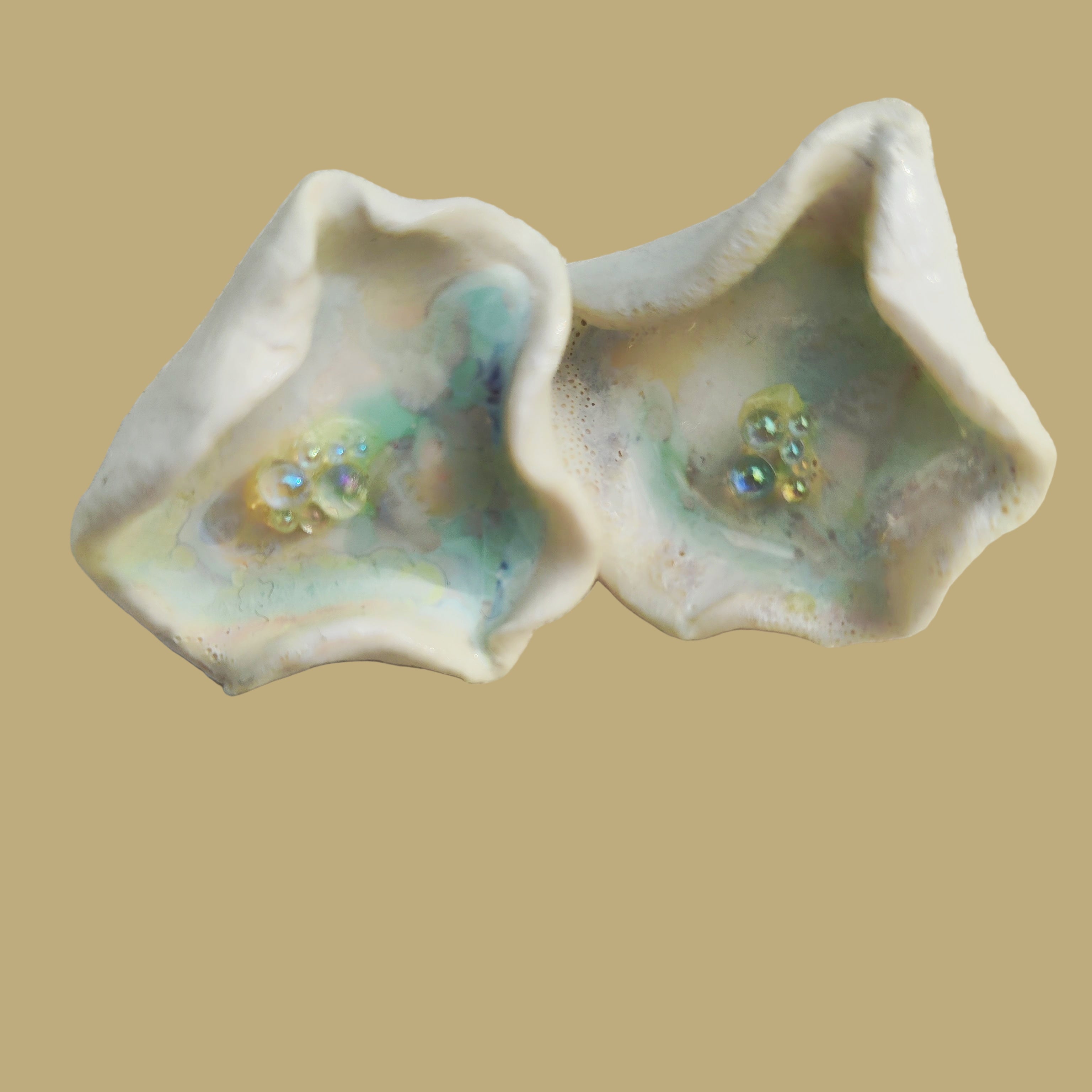 Oysteria "cercles d'huîtres"