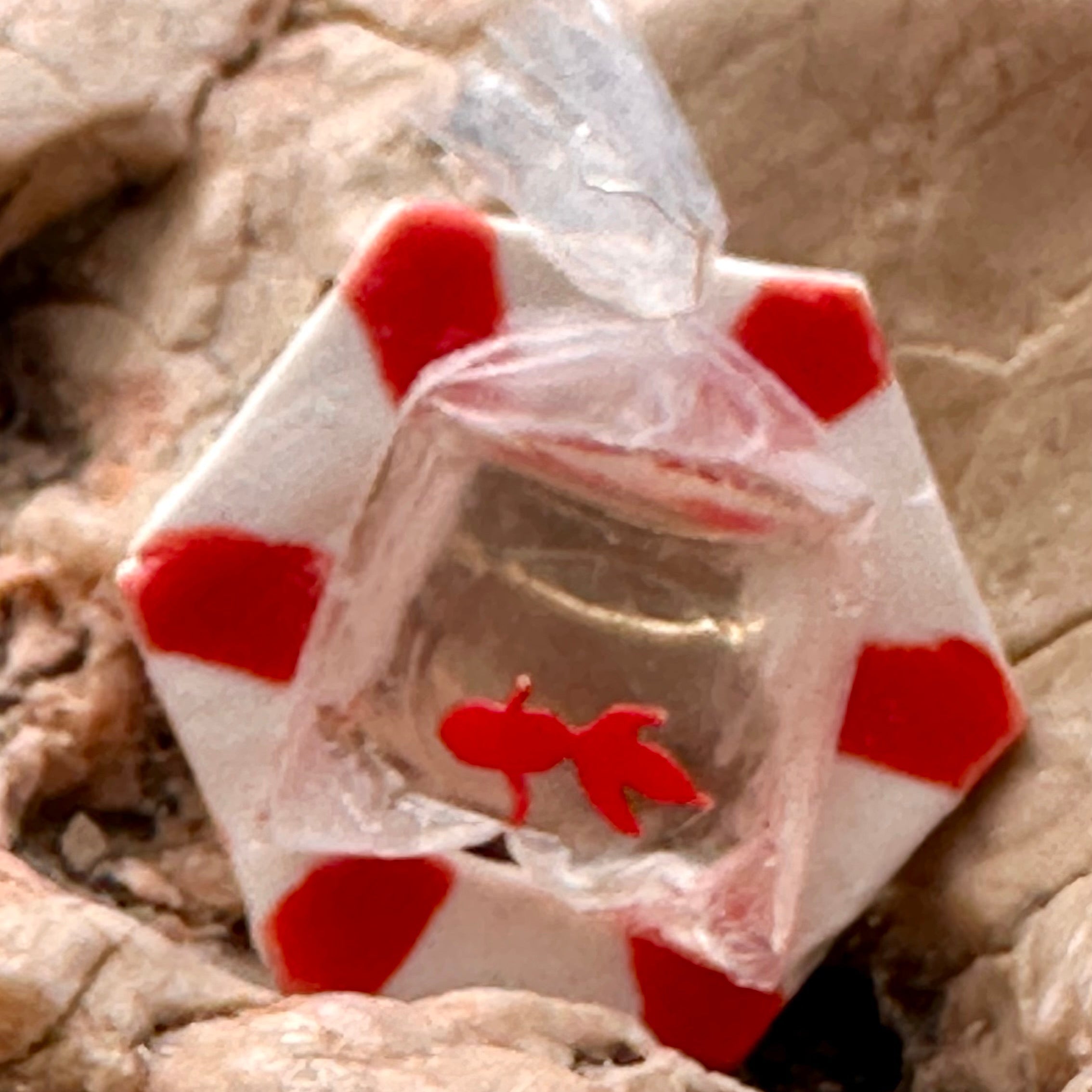 Broche "Aquarium de poche" rouge géométrique