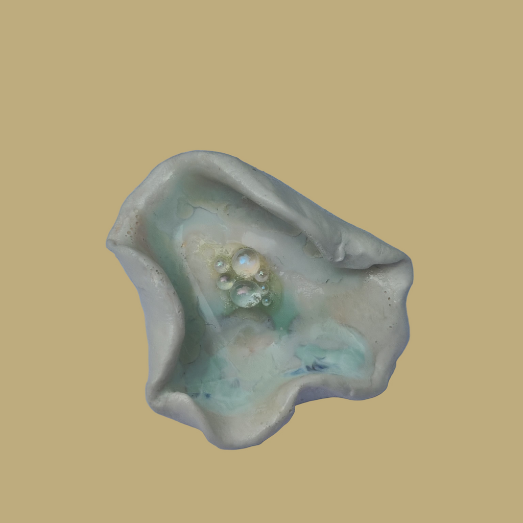 Oysteria "cercles d'huîtres"